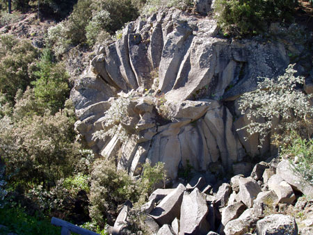 Steinrose auf Teneriffa