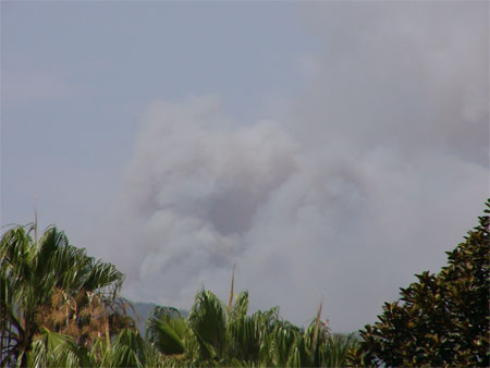 Fuego Tenerife