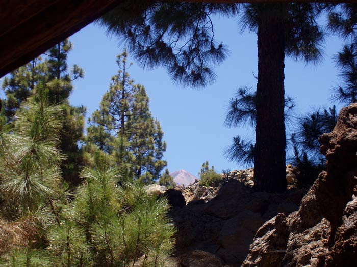 Teide vom Picknickplatz aus
