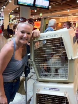 Hunde aus der Tierhilfe - Flugpaten
