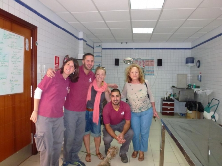 Tierhelfer Teneriffa